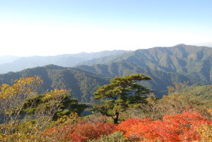 霧立越ルートの尾根