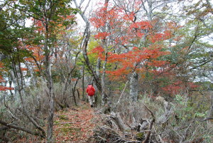 三方山の画像