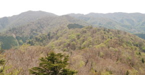三方山ルートの尾根