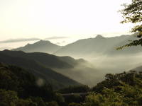 小川岳画像